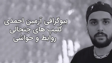 بیوگرافی آرمین احمدی، کلیپ های جنجالی، روابط و حواشی
